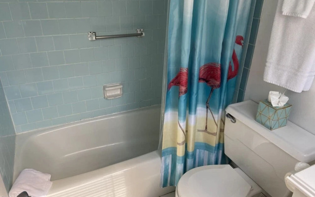 Holiday Court 07 - Osprey