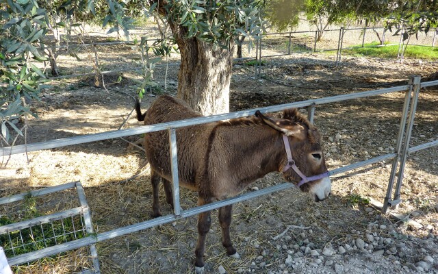 Hadjios Valley