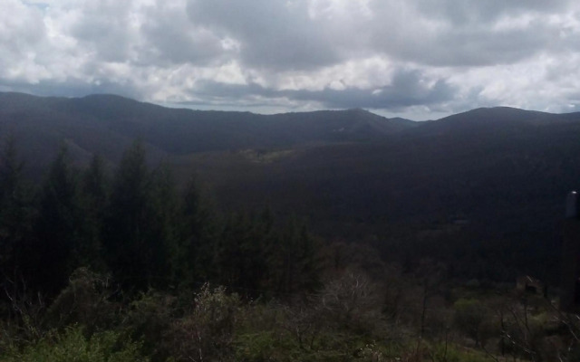 Magrignano tra animali e natura