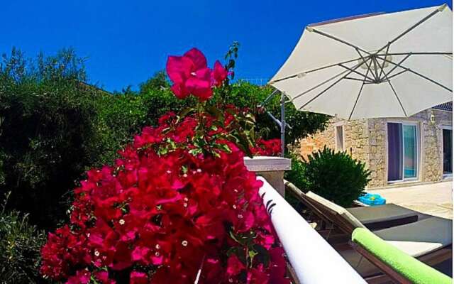 Villa Paloma by Villatatilin