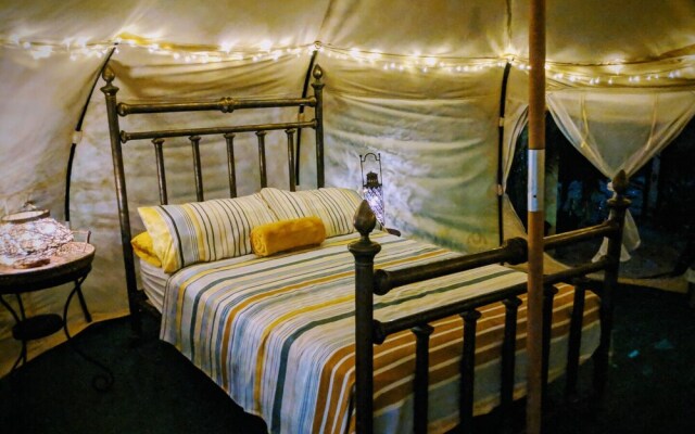 Wild Lotus Camp