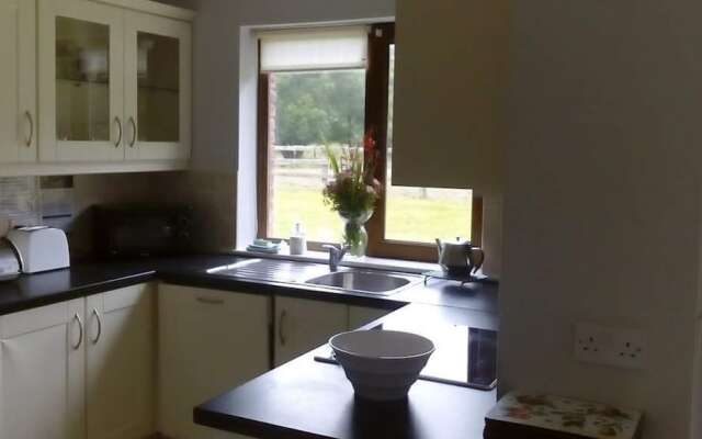 Ardnagashel Woods No 08