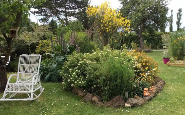 La Glycine du Boulonnais