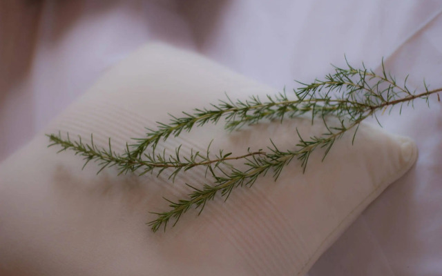 Petit Hotel Hostatgeria La Victoria