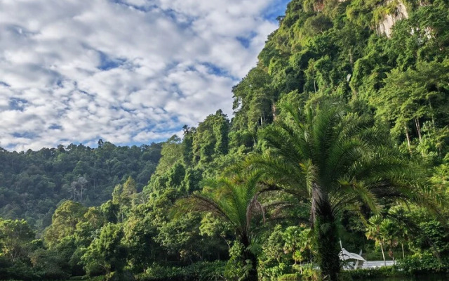 Mountain & Lake Views' Suite Cycas
