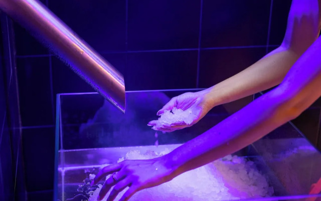 Wellness Smart Suites