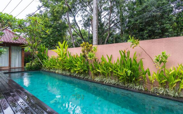 Gekkos Ubud