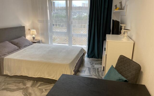 Апартаменты на улице Пластунская 100Б