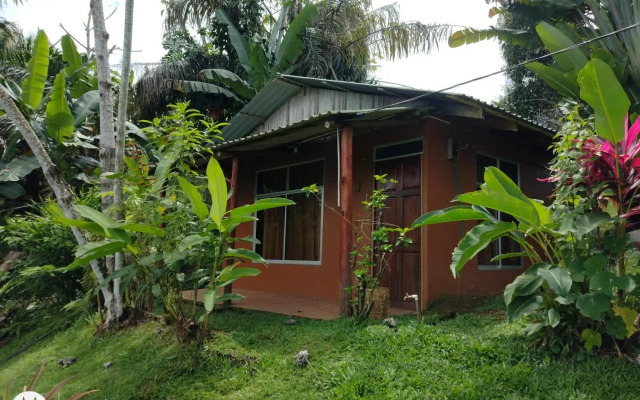 Mirador Osa