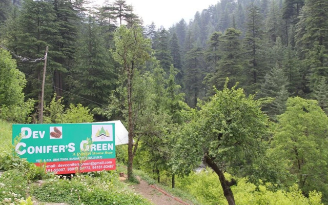 Dev Conifers Cafe & Cottages