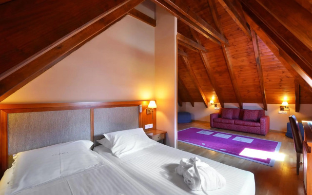 Hotel Acevi Val d'Aran