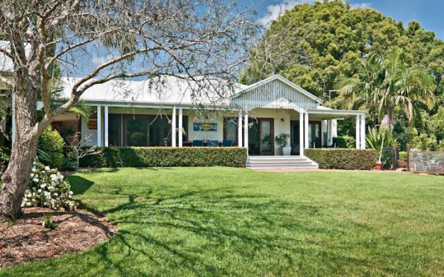 Cedia at Byron Bay Hinterland