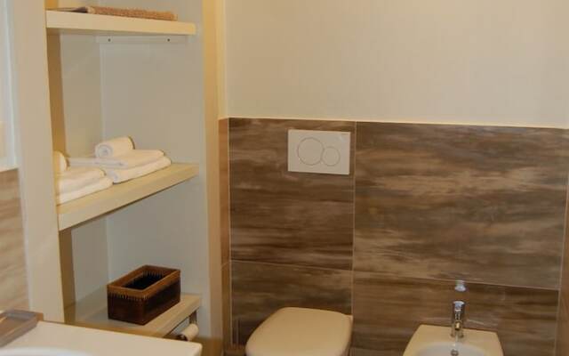 B&B Fraxinus Excelsior