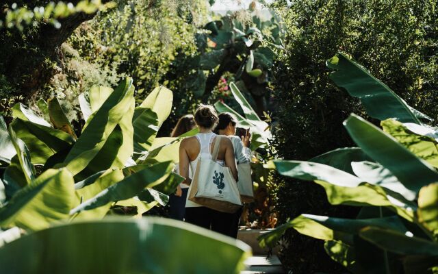 Phāea Cretan Malia, a Member of Design Hotels
