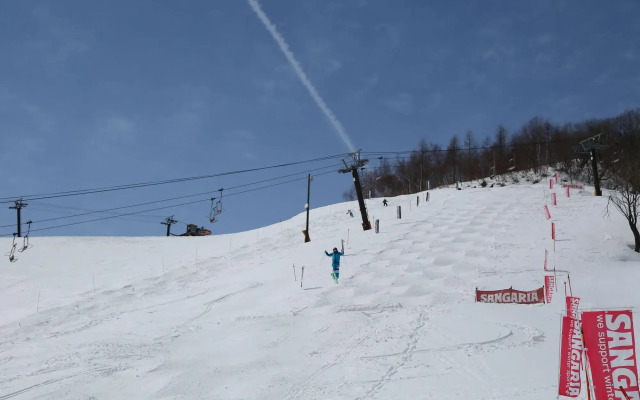Hakuba Alps Hotel