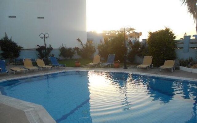 Summer Dreams