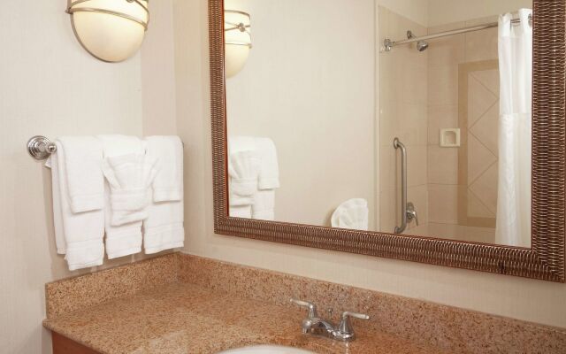 Hilton Garden Inn Atlanta Airport/Millenium Center