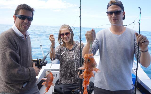 First Light Kaikoura