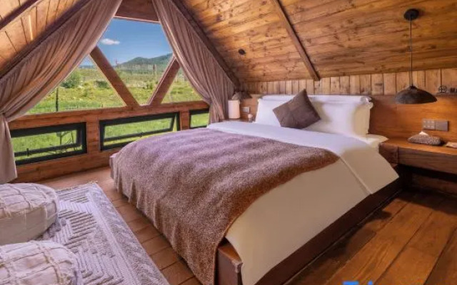 Tree Talk Homestay