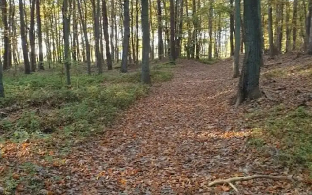 Seeschwalbe Modern Retreat