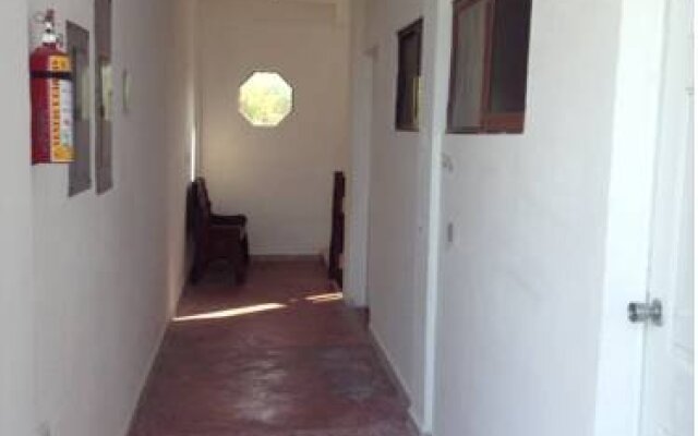 Elements Holbox