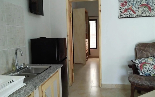 Real Owl Guest House