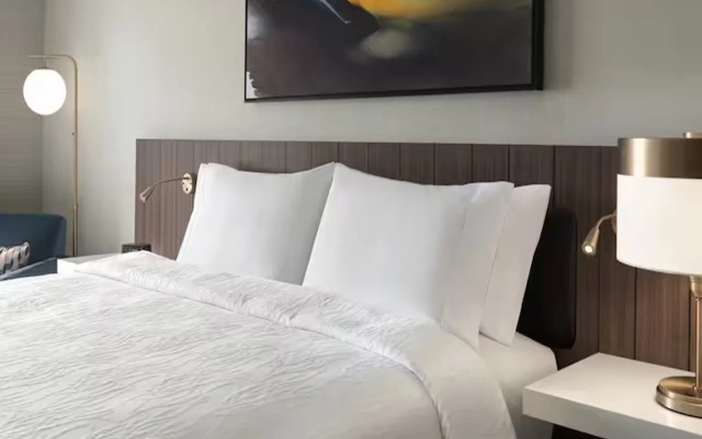 Hilton Garden Inn Grand Prairie At Epiccentral