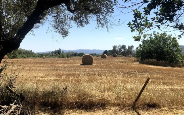 Charming 5-bed Villa in Pitigliano Tuscany