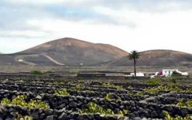 Holiday Home Canarias