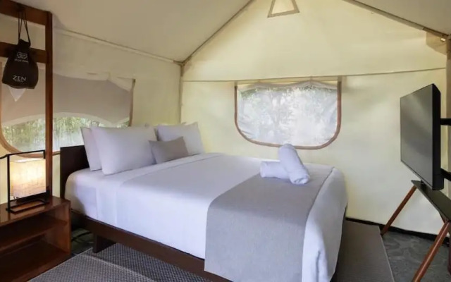 Zen By Stellar Cameron