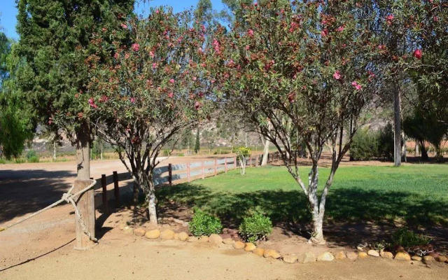 Rancho Toros Pintos