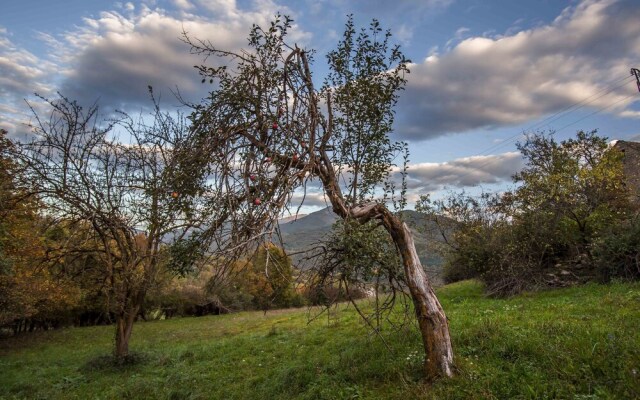 Casa Arana - Parque Nacional de Ordesa