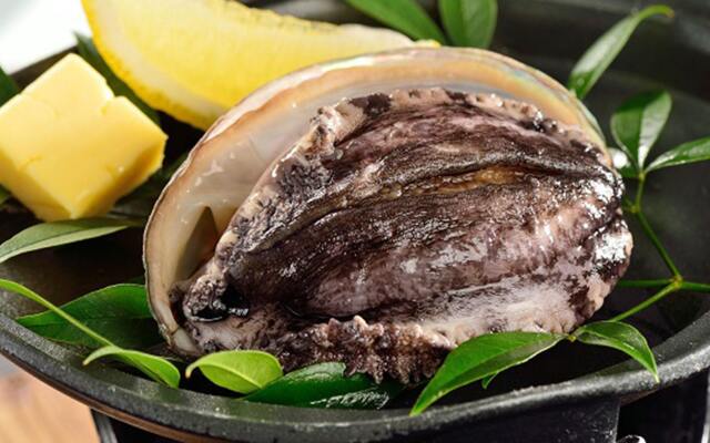 Kamenoi Hotel Kamogawa