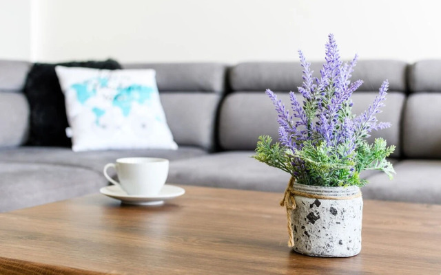 P&O Apartments Slominskiego 5