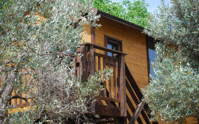 Palazzo Conforti Tree House Resort