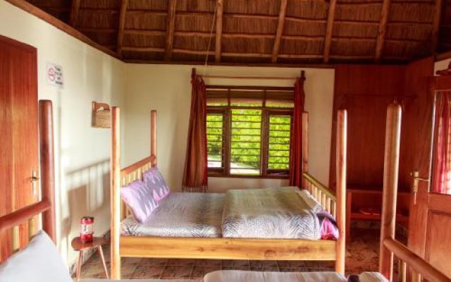 Chimpanzee Forest Guest House