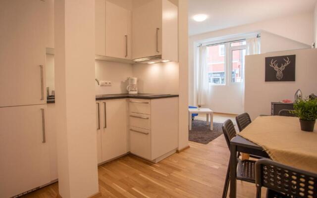 Cozy 1-bedroom apartment in Innsbruck Center