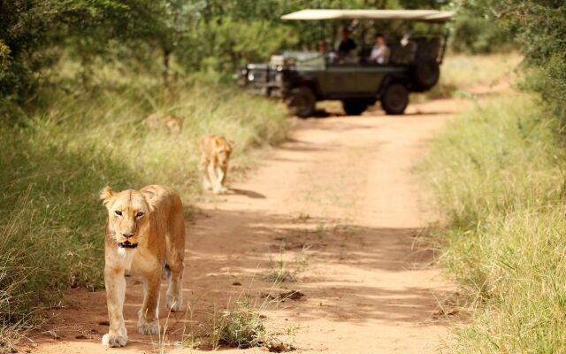 Jabulani Safari