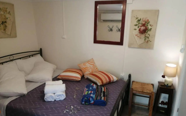 Rodomelo Cute Studio 1