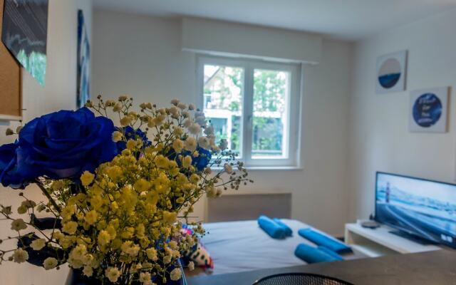 Bluefel - Super Studio - Petite Venise