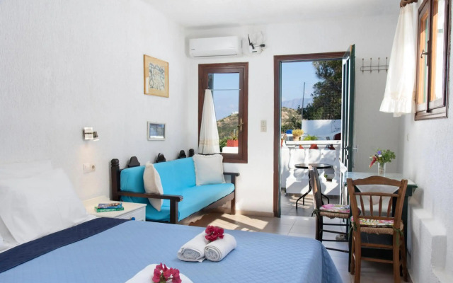 Anemone Seaside Traditional Homes