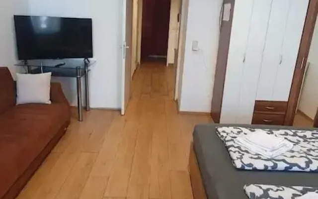 Comfortable 1BR Apartment Near Center