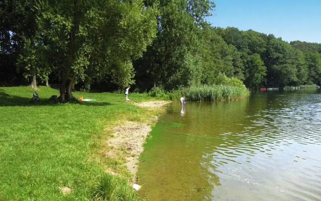 Roof House Near Dummer See With Rowing Boat