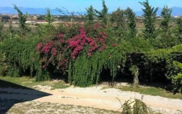 Bed and Breakfast Macchia d'Olmo