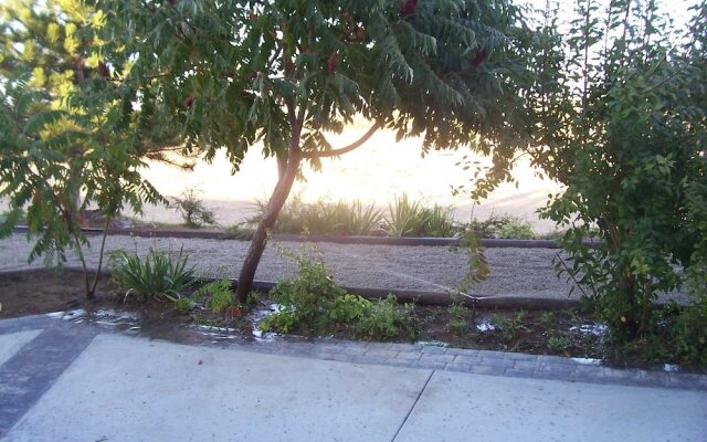 Wild Rose Manor Bed and Breakfast