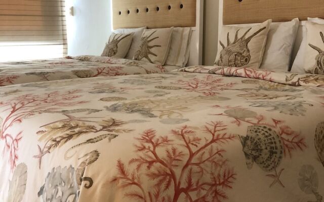 Magic Nature at Las Terrenas