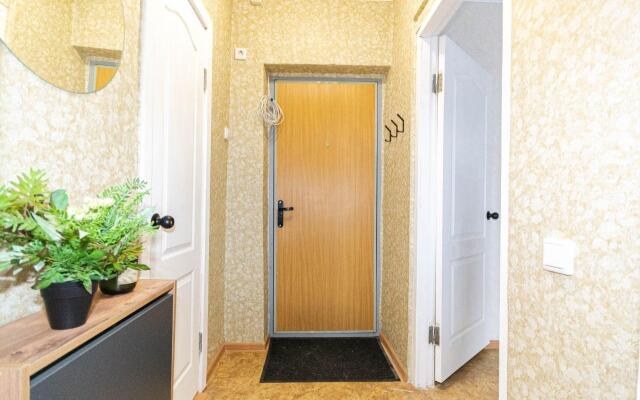 Niki Rent на Строительной