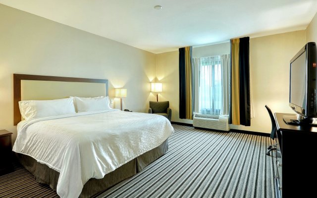 Holiday Inn Express Hotel & Suites Batavia - Darien Lake, an IHG Hotel