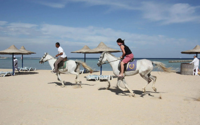 Royal Pharaoh Makadi - Hotel & Resort