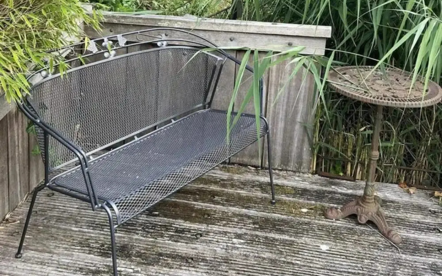 Pet-friendly Coastal Getaway